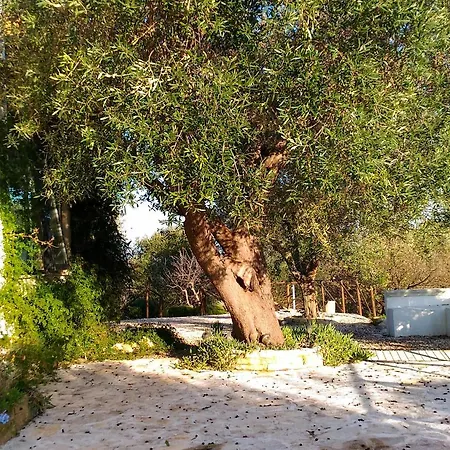 Profumo Di Provenza *