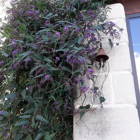 Profumo Di Provenza