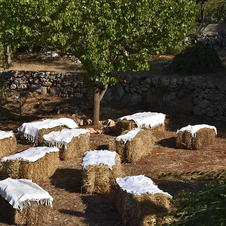 Profumo Di Provenza